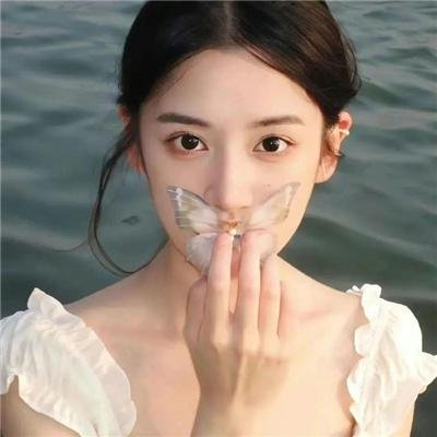 熊霸天下