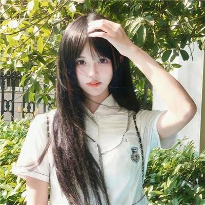 玉米上的麻雀